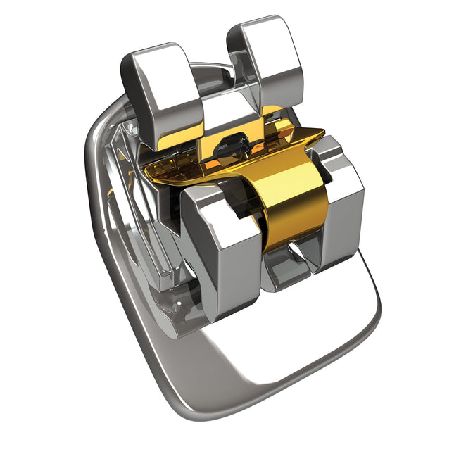 Experience L Upper and Lower Bicupids 