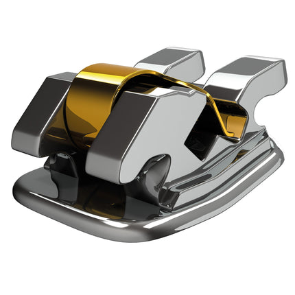 Experience L Lower Right 1st and 2nd Molars 