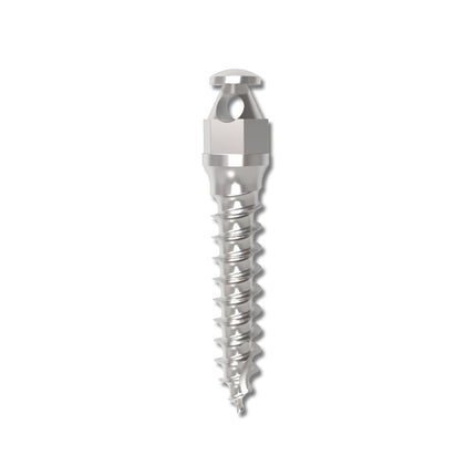Absoanchor Small Head 7mm 