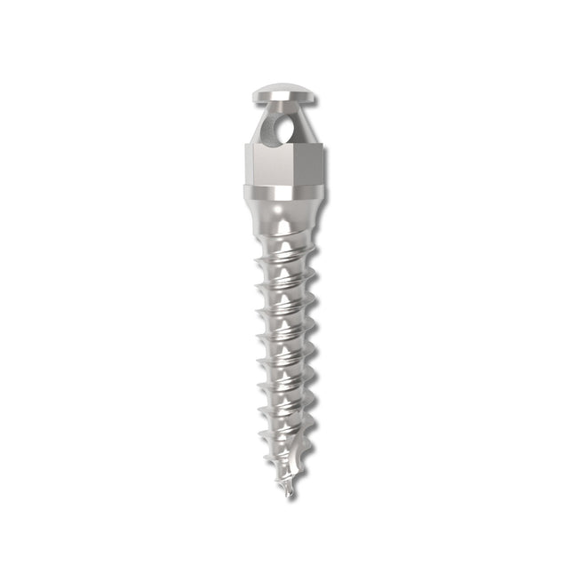Absoanchor Small Head 7mm 