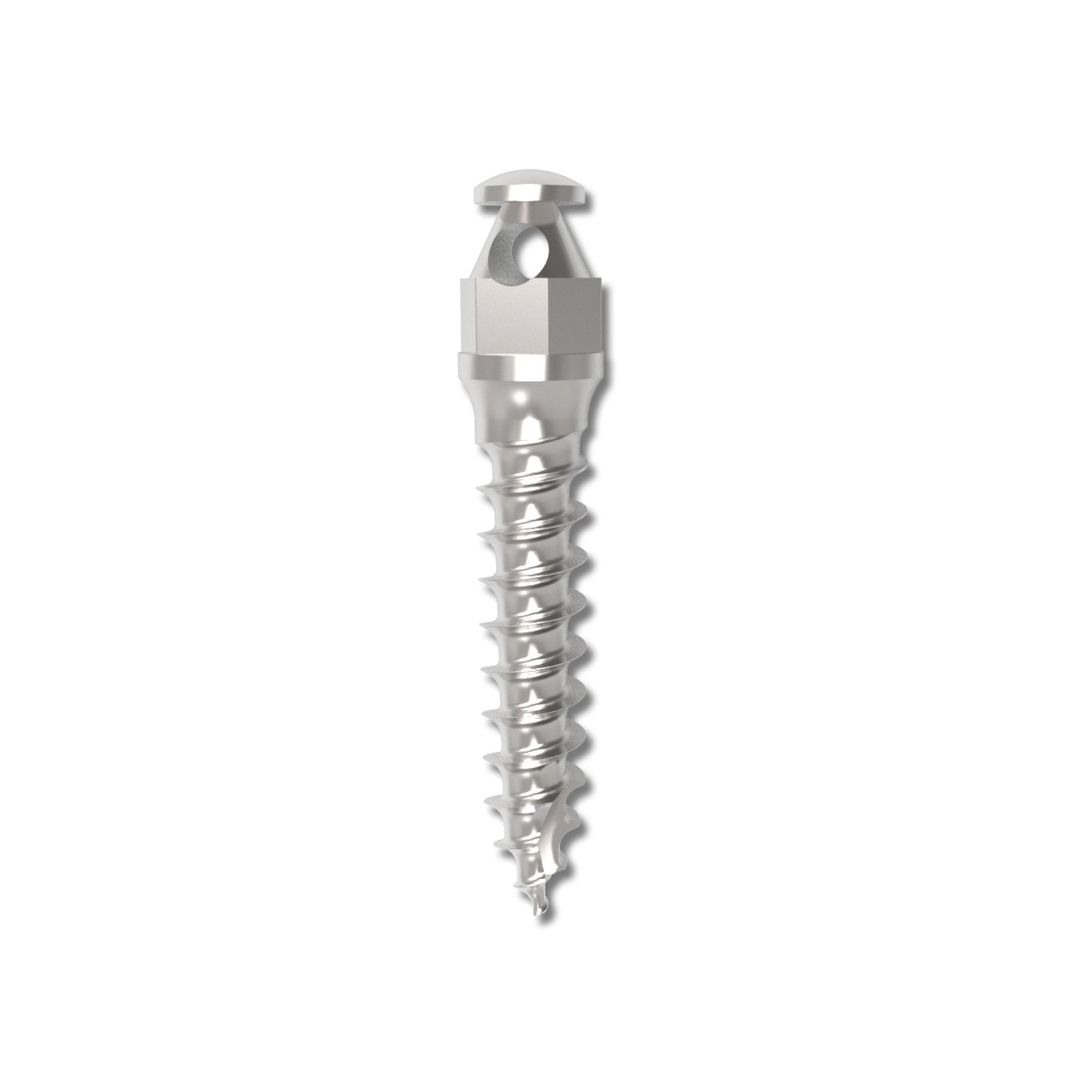 Absoanchor Small Head Microimplant 10mm Dia 1.3 