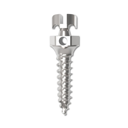 Bracket Head Microimplant 1.6 mm Diam 7mm 