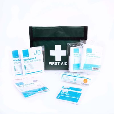 Blue Dot One Person Travel Kit In Green Velcro Pouch