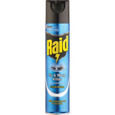 Raid Fly and Wasp Killer (300ml)
