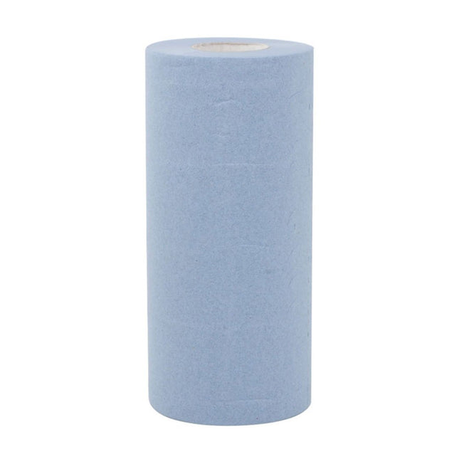 Couch Roll (10â€) â€“ 2 ply, Blue 40m 