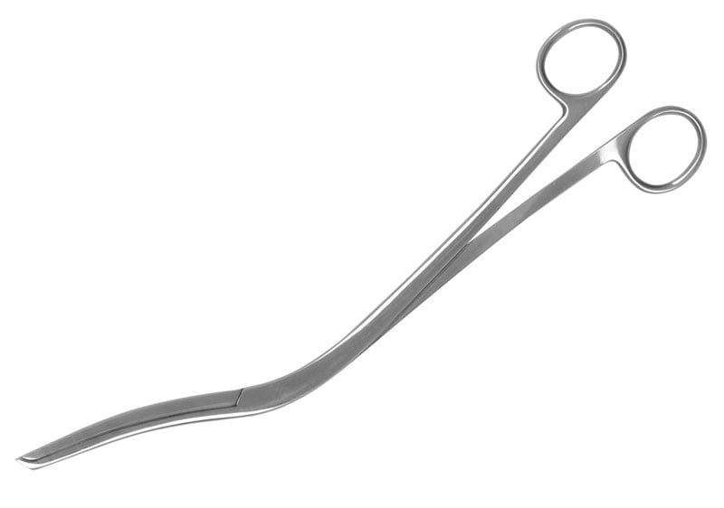 Cheatles 10” Forceps 