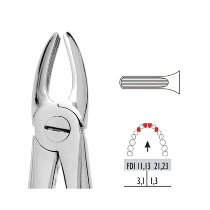 Forceps - Autoclavable 1 Upper Centrals & Canines 