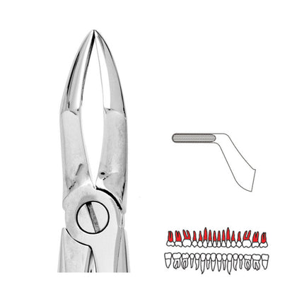 Forceps - Autoclavable 51 Upper Roots /3rd Molars 