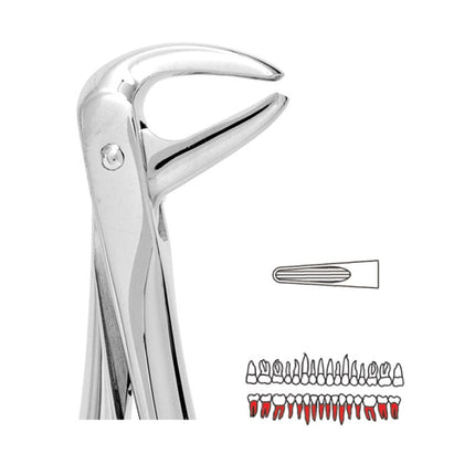 Forceps - Autoclavable 74N Small L Roots/Crowded Incisors 