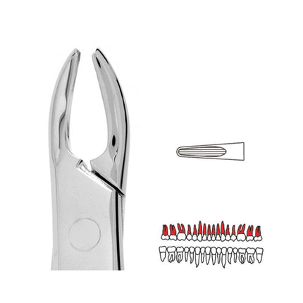Forceps - Autoclavable 76 Upper Roots (Read) 