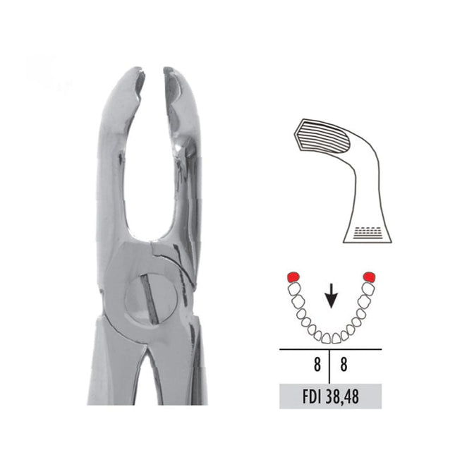 Forceps - Autoclavable 79 Lower Wisdom 