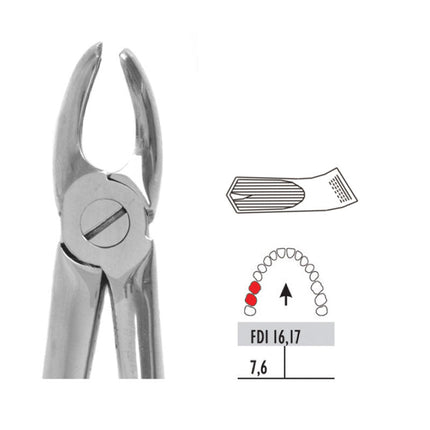 Forceps - Autoclavable 96 Small Upper Molars Right 