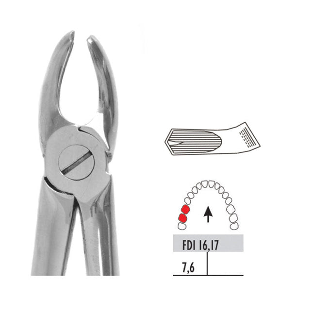 Forceps - Autoclavable 96 Small Upper Molars Right 