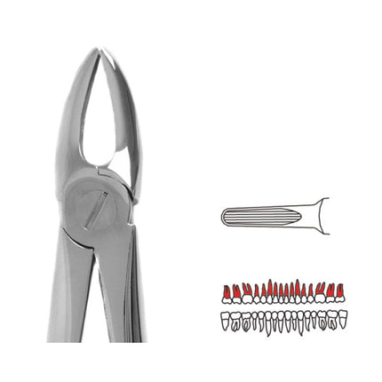 Forceps - Autoclavable 113 Upper Roots (Martin) 