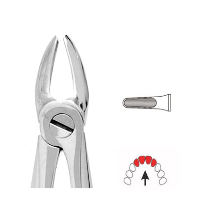 Forceps Premier Range - Autoclavable 37 Child Upper Incisors and Canines 