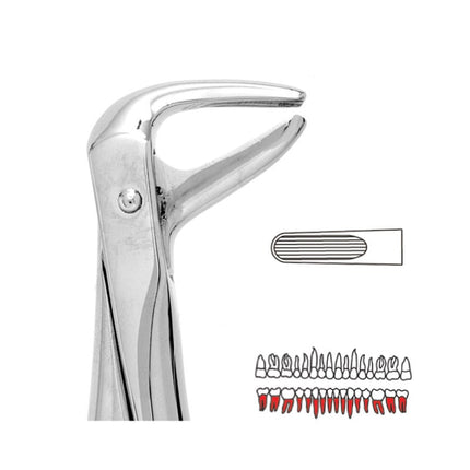 Forceps Premier Range - Autoclavable 74 Lower Roots 