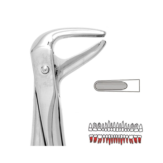 Forceps Premier Range - Autoclavable 74 Lower Roots 