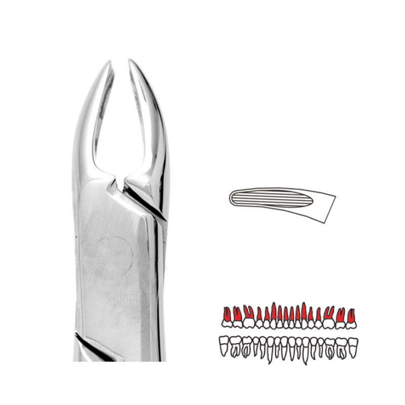 Forceps Premier Range - Autoclavable 76N Small Upper Roots (Read) 
