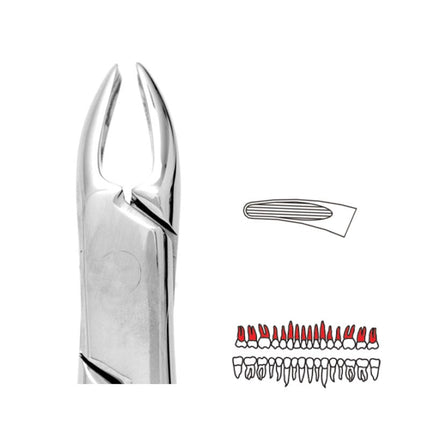 Forceps Premier Range - Autoclavable 76N Small Upper Roots (Read) 