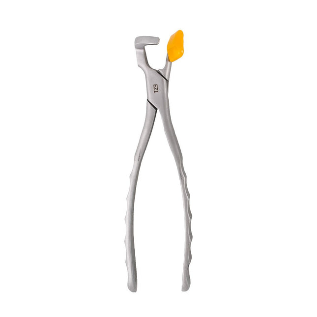 Physics Forceps - Molar Series GMX 400 EZ1 