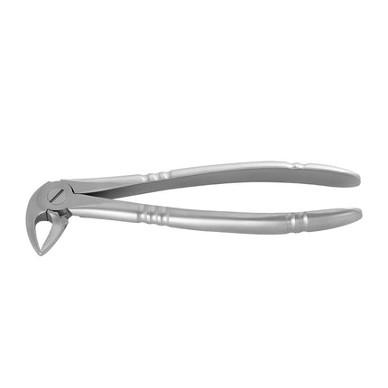 Standard Extraction Forcep #33 Lower roots, Ergonomic 