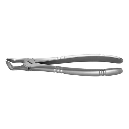 Extraction Forceps Lower Molars and 3rd Molars Ergonomic 