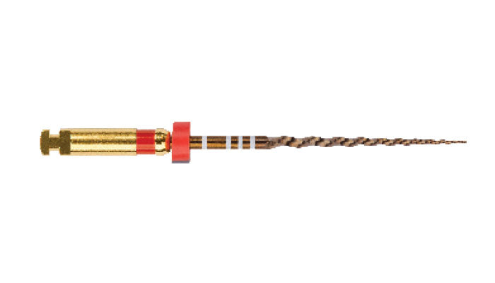 ProTaper Gold Sterile 21mm F2 