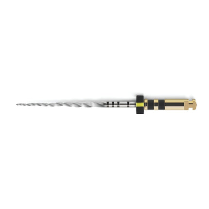 ProTaper Next Sterile 21mm X4 040/06 - Black 