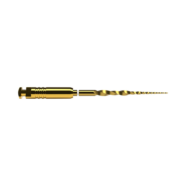ProTaper Ultimate SX 19mm 