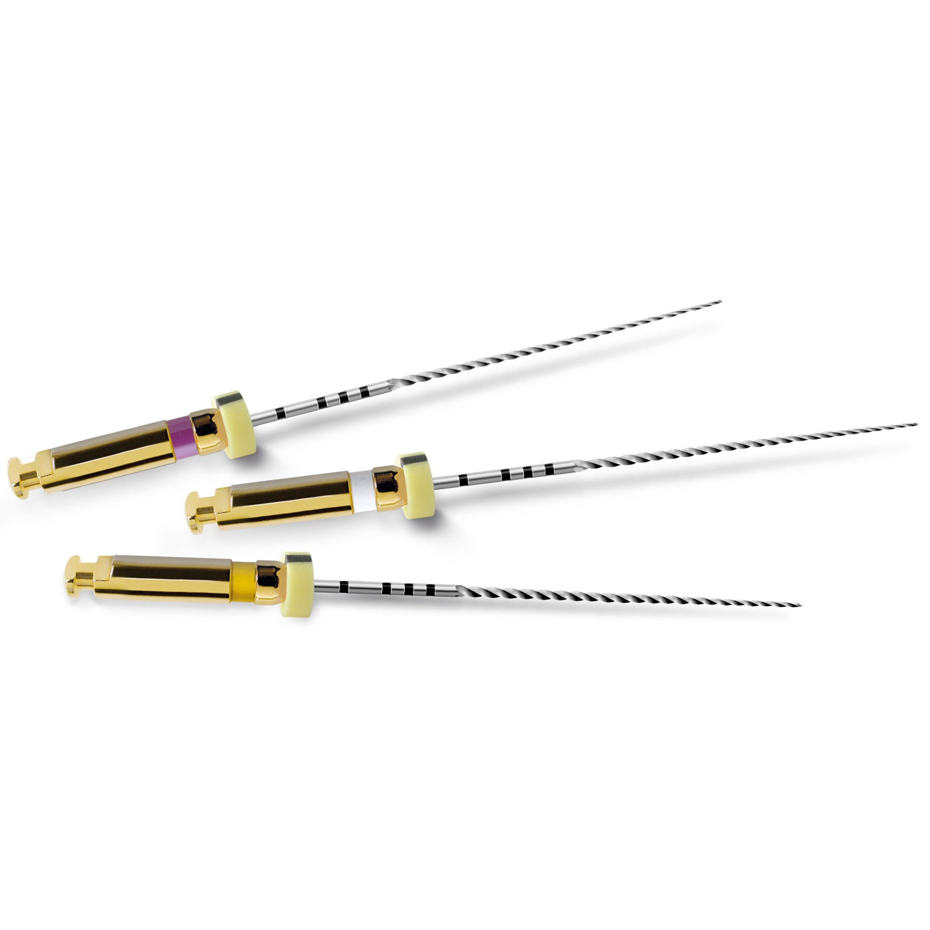 PathFile Sterile 31mm Assorted 