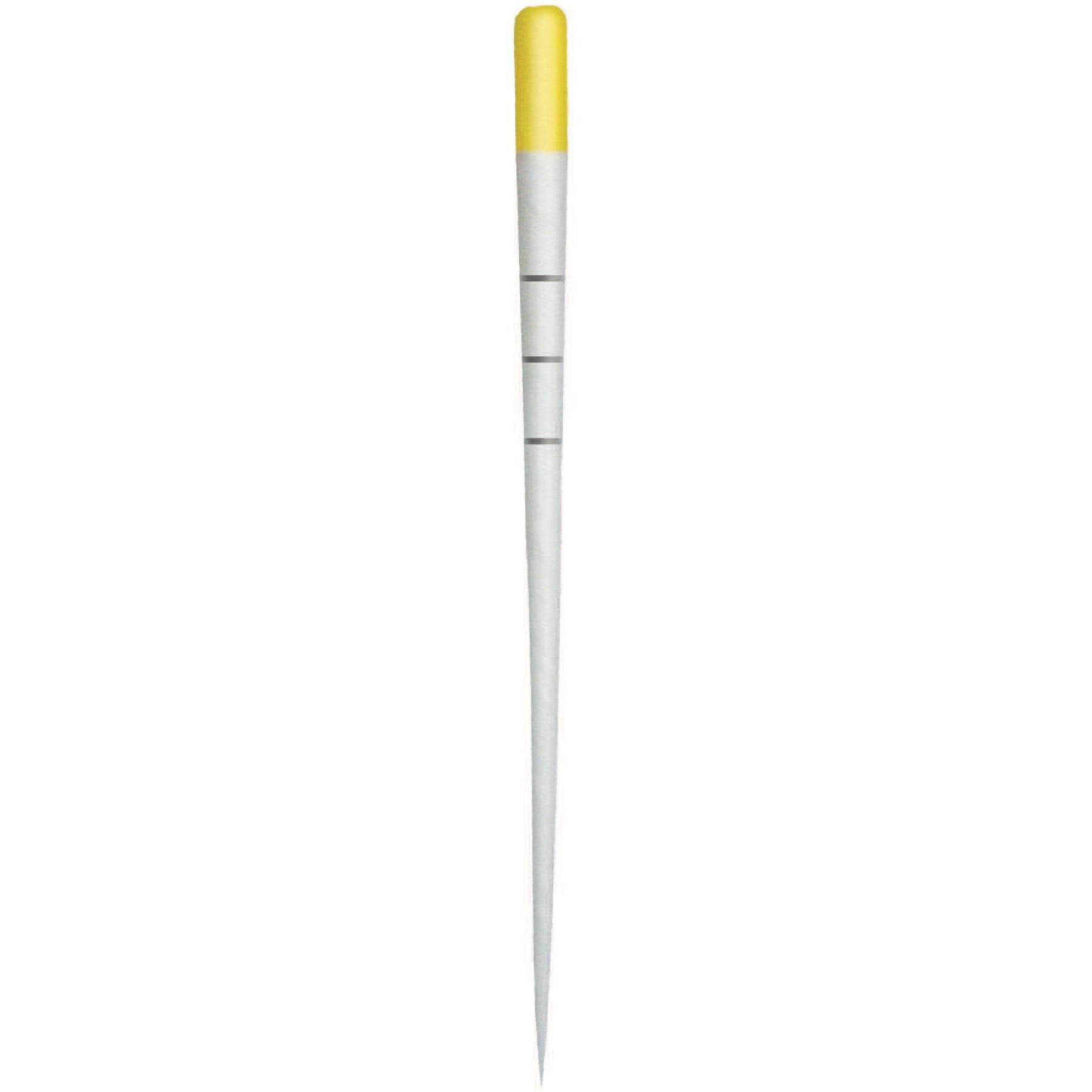 ProTaper Gold Paper Points F1 