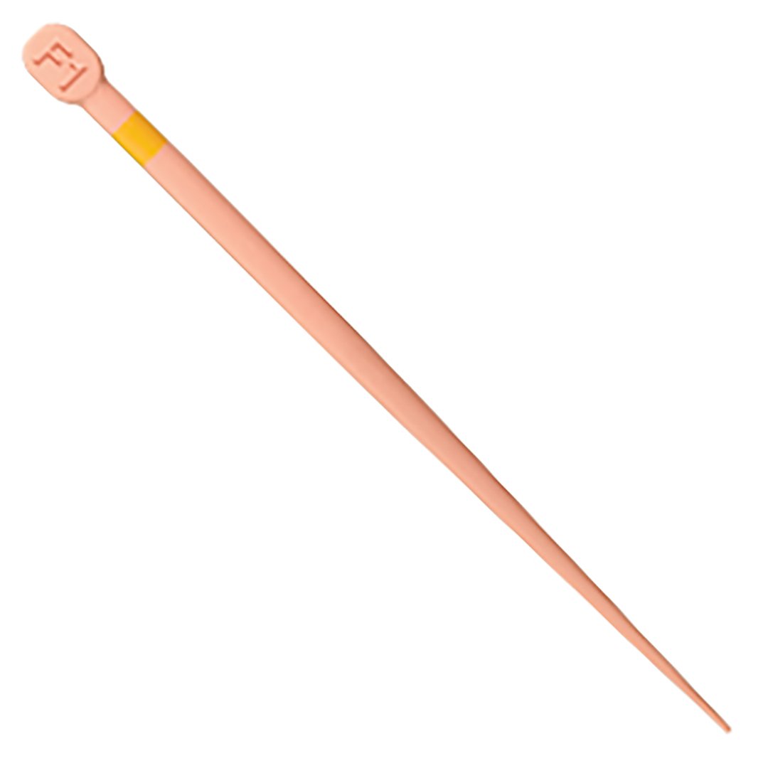 ProTaper Gold® Conform Fit Gutta-Percha F1 