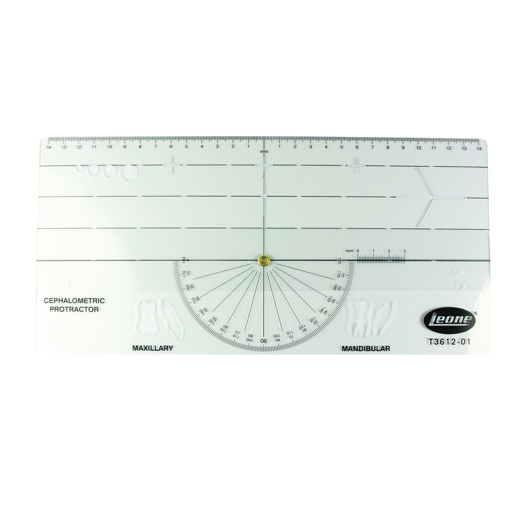 Cephalometric Protractor 