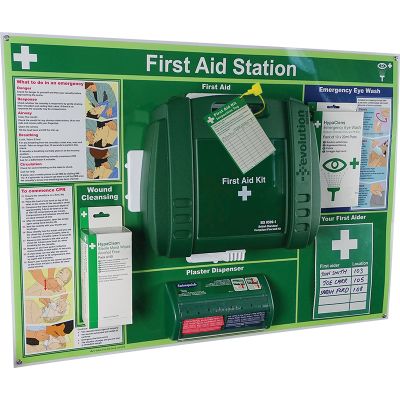 Wall Mounted Evolution First Aid Station, Large