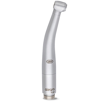 Alegra Turbine TE-97 