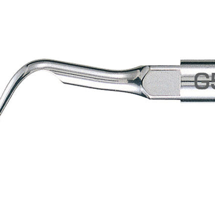 Varios Scaling Tip G5 