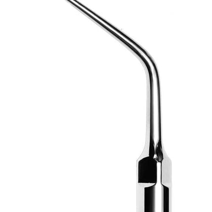 Scaling Tips EMS Endo Tip 3 