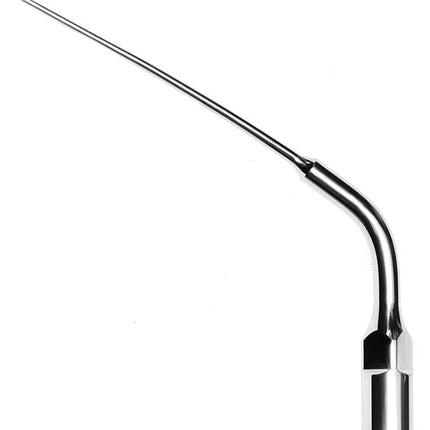 Scaling Tips EMS Endo Tip 4 