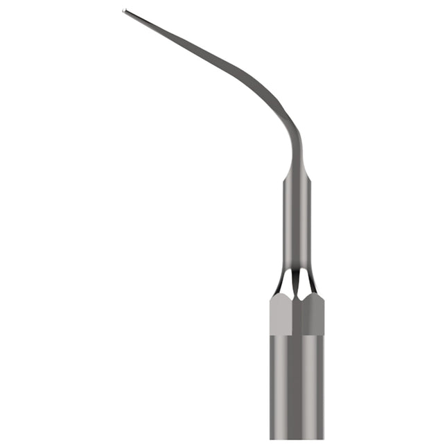 Scaling Tips EMS Type Scaling Tip EP 