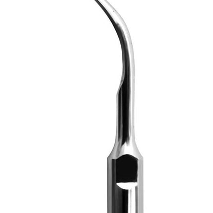 Scaling Tips S-Type Scaling Tip 5 