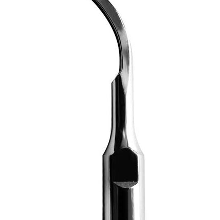 Scaling Tips S-Type Perio Tip 1 