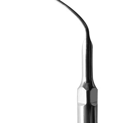 Scaling Tips S-Type Endo Tip 3 