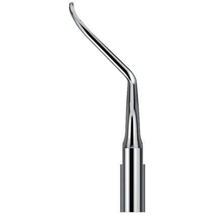 Scaling Tips S-Type Endo Tip AH4L 