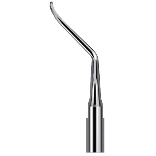 Scaling Tips S-Type Endo Tip AH4L 