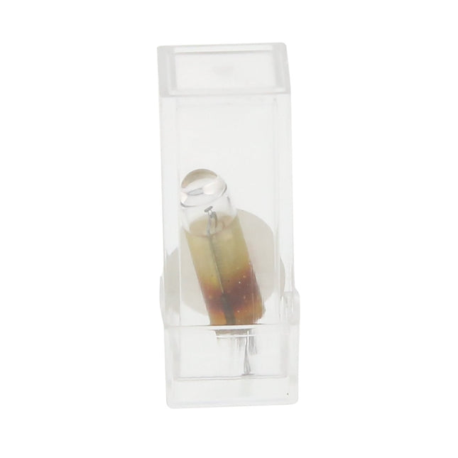 Spare Bulb For Incolight LT25 Air Motor 
