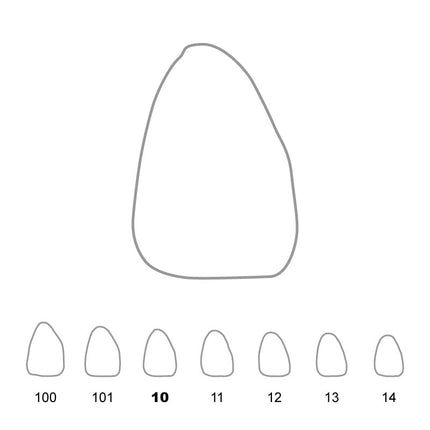 Temporary Crowns Upper Central Incisors Right 10 