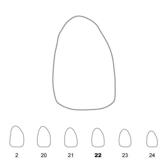 Temporary Crowns Upper Lateral Incisors Right 22 