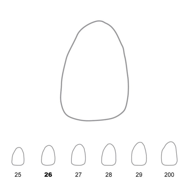 Temporary Crowns Upper Lateral Incisors Left 26 