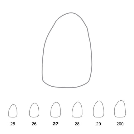 Temporary Crowns Upper Lateral Incisors Left 27 