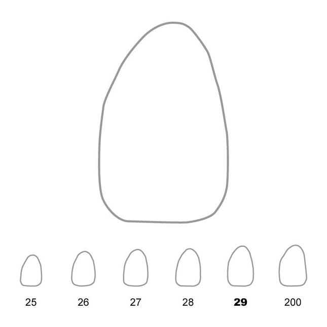 Temporary Crowns Upper Lateral Incisors Left 29 